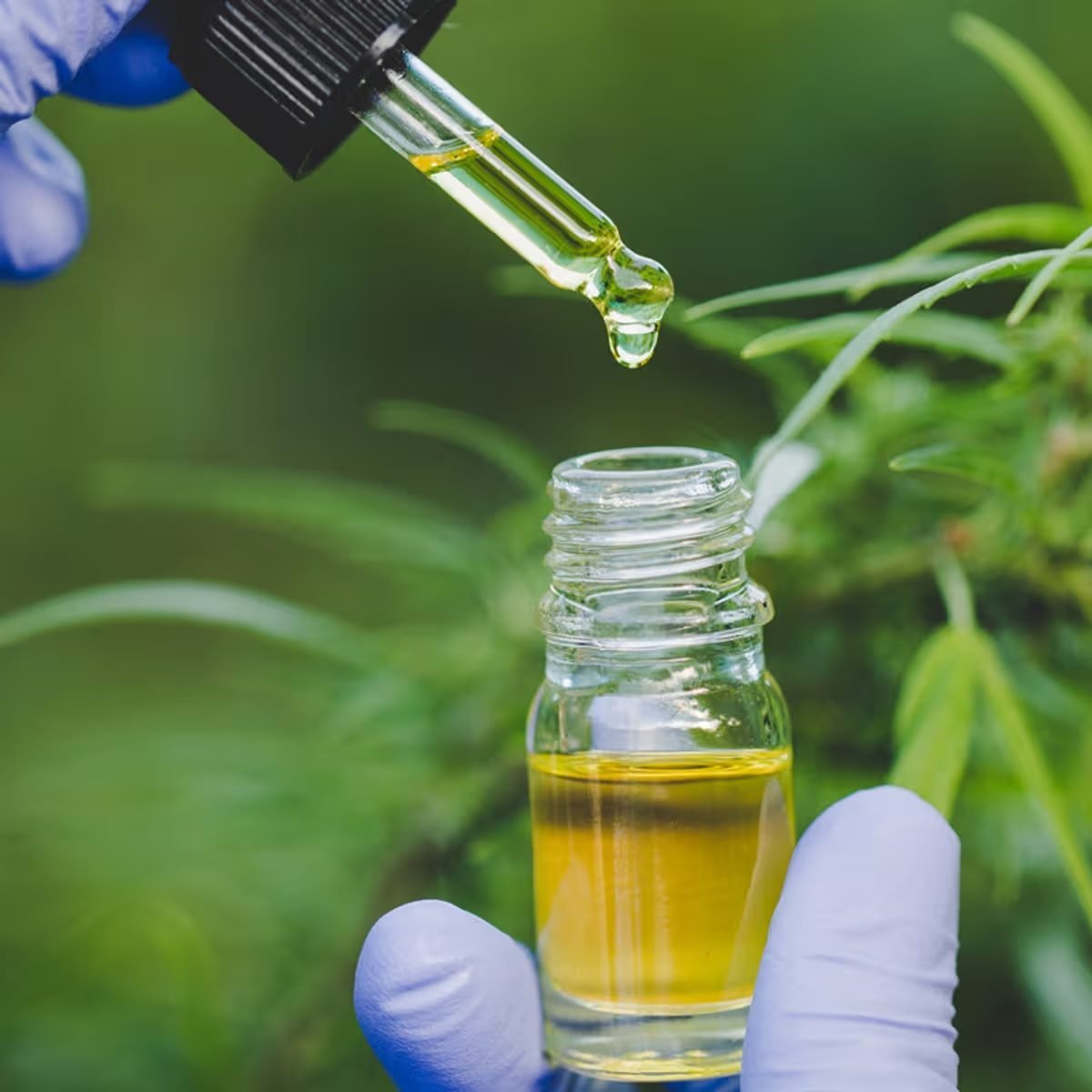CBD Isolate